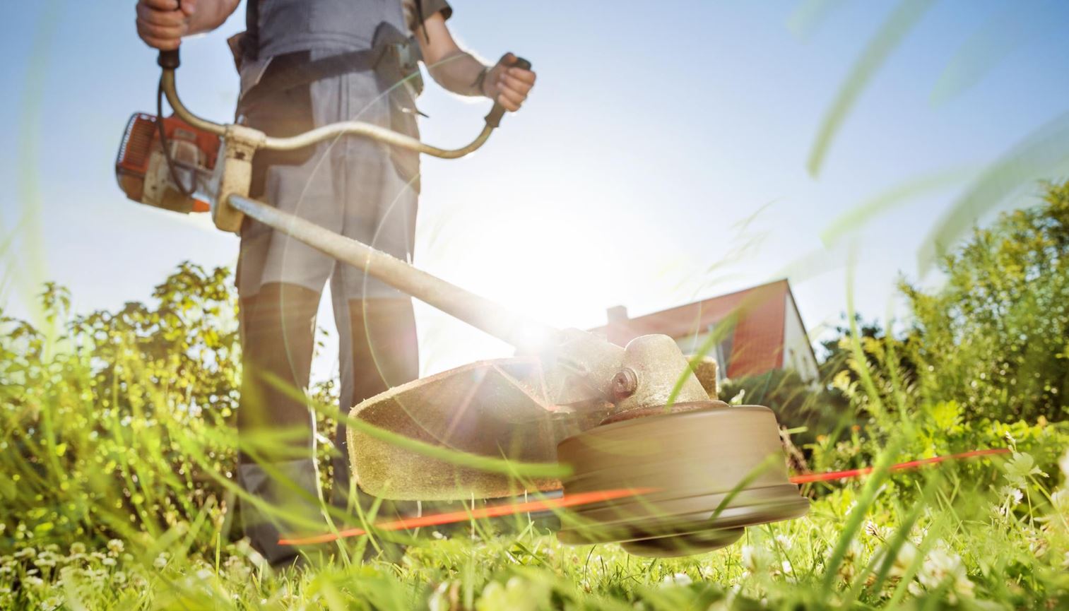 Landscaper Landscaper